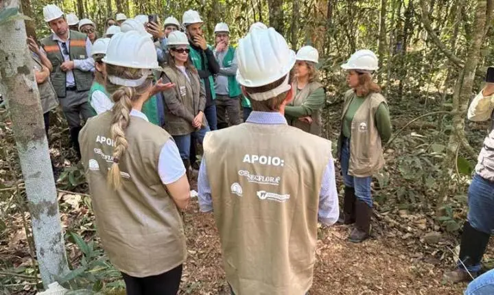 Sema monitora mais de 400 planos de manejo em execução no estado de Mato Grosso